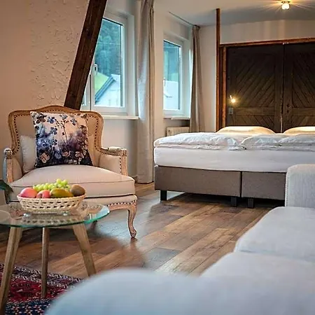 Engel 16, Boutique - Adults Only Schramberg